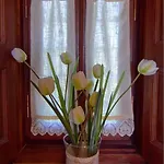 Sevi's Traditional House