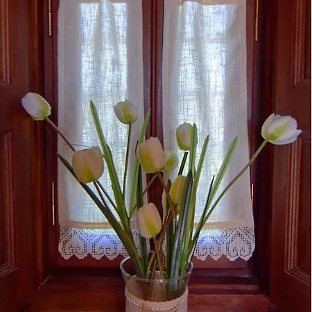 Sevi's Traditional House